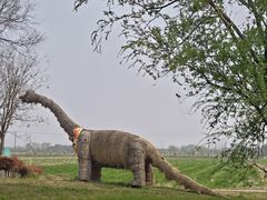 -嘉北郊野公园