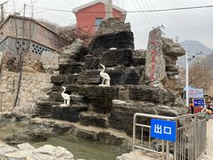 -大岭沟猕猴桃谷风景区