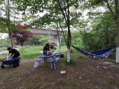 -桤木河湿地公园