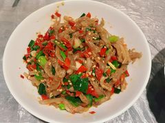 鸭掌筋-壹盏灯(惠农店)