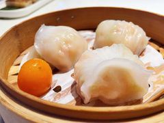 -点都德·毕德寮