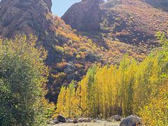 -克什克腾世界地质公园青山景区