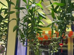 -龚海宝· 烧烤· 羊肉原切挂糊更好吃(庄市店)