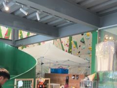 -绿壁虎攀岩基地(Tcar店)