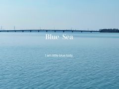 -漕湖湿地公园