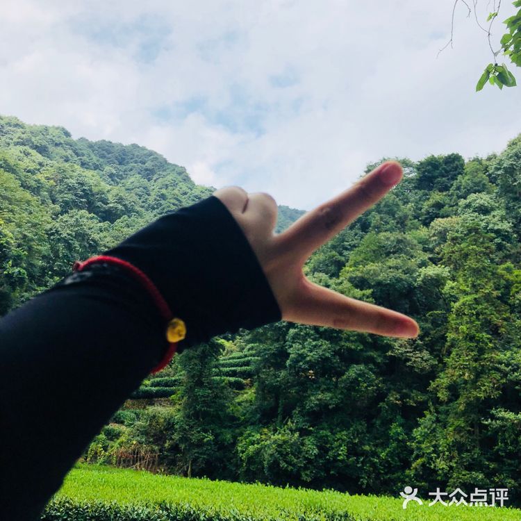 杭州旅游景点攻略之梅家坞