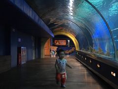 -石家庄海洋公园