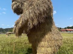 -福建土楼（华安）旅游区•大地土楼群