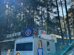 -重庆睡佛山森林公园