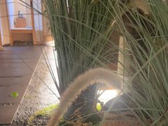 -梅间堂茶馆(绿地缤纷城店)