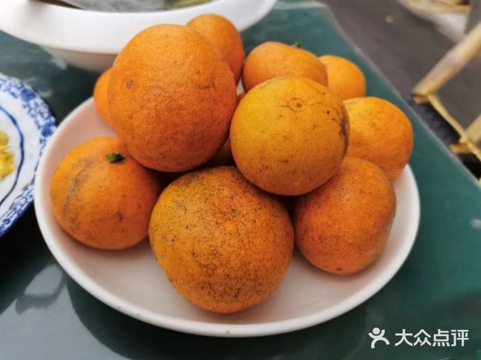 阳澄湖景点推荐|一个人少景美的小众景点