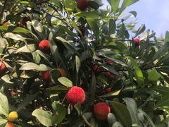 -金牛山大酒店(南北湖风景区店)