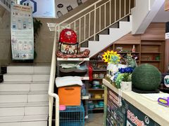 -派特宠物医院(圆融广场店)