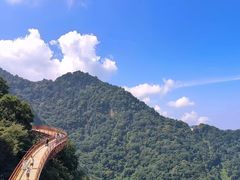 -少华山国家森林公园