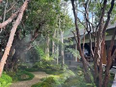 -Chom Cafe and Restaurant