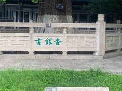 -常熟方塔园