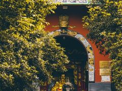 -铁山坪森林公园