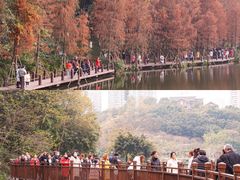 -重庆彩云湖湿地公园