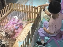 -嘉兴海底世界