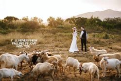 -花漾摄影优选工作室(东莞原创作品店)