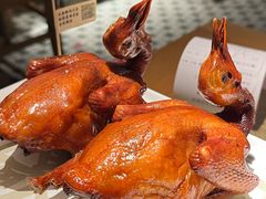 -大鸽饭(北京路店)