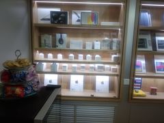 -苹果售后维修服务中心(东大直街总店)