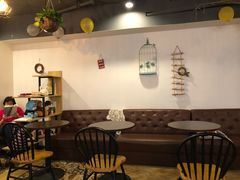 -共舞时光猫咖·狗咖(新街口店)