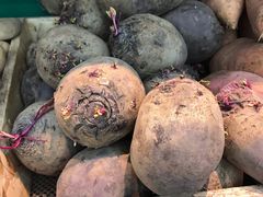 -婕妮璐超市 Jenny Lou’s Shop(三里屯店)