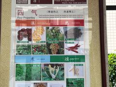 -广州神农草堂中医药博物馆