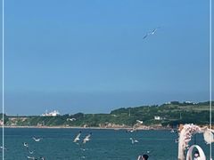 -海驴岛(荣成市)