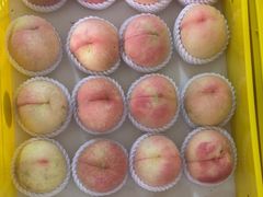 -老袁家蜜桃农场·阳山水蜜桃