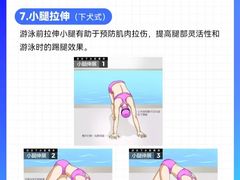 -陕西省游泳跳水馆