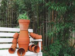 -前小桔亲子创意农场·草莓采摘·露营烧烤