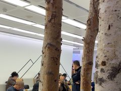 -极简口腔(总院)