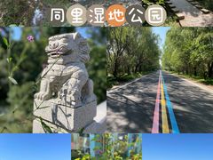 -同里国家湿地公园