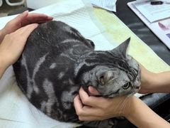 -美联众合动物医院·24h转诊中心