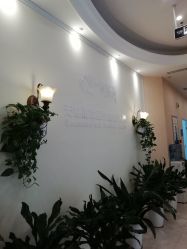 -碧莲盛·不剃发植发