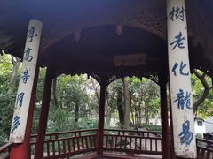 -秋霞圃