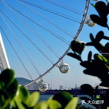 开启运气盲盒｜湾区之光观赏日与夜