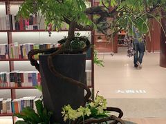 -二酉书店TOYOU BOOKS