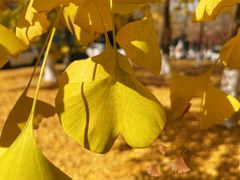 -浙江大学(紫金港校区)