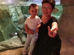 -沈阳海洋探索中心