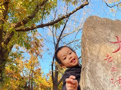 -北京上方山国家森林公园