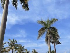 -野狸岛