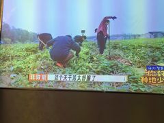 -华夏良子·足道SPA艾灸(铁道大厦店)