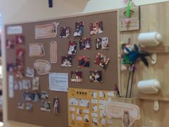 -滚猫咖啡·猫咖·猫友好撸猫(未来城店)