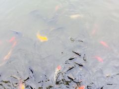 -龙头寺公园