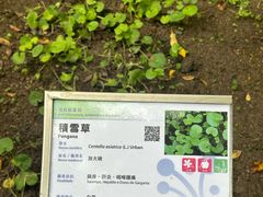 -石排湾郊野公园