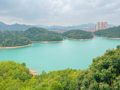 -大赤坎肥仔强烧味海鲜餐厅(大赤坎店)