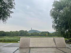 -北坞公园